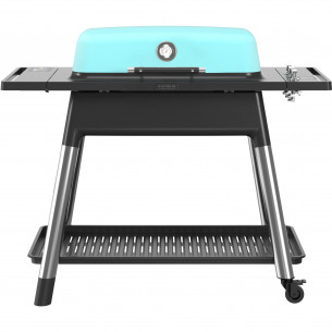 Furnace Gen II gasgrill i mint fra Everdure