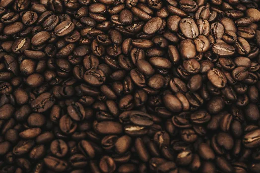 Single estate kaffe, single origin kaffe og coffee blend - hvad er hvad?
