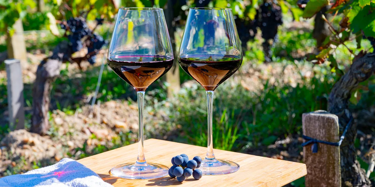 Cabernet sauvignon: kraftfuld rødvin fra Bordeaux og resten af verden