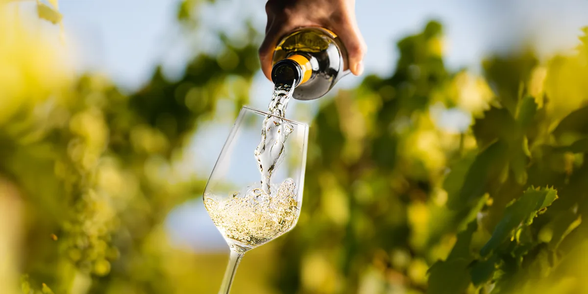 Sauvignon blanc – den friske drue fra Loire til New Zealand