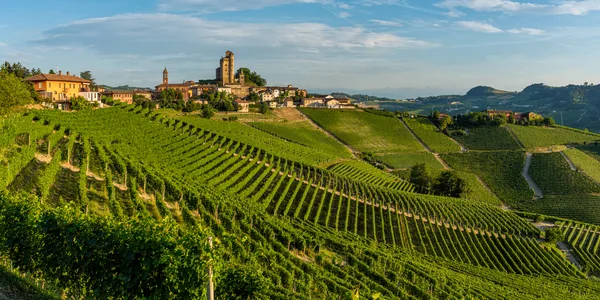 Nebbiolo - druen bag Barolo og Barbaresco