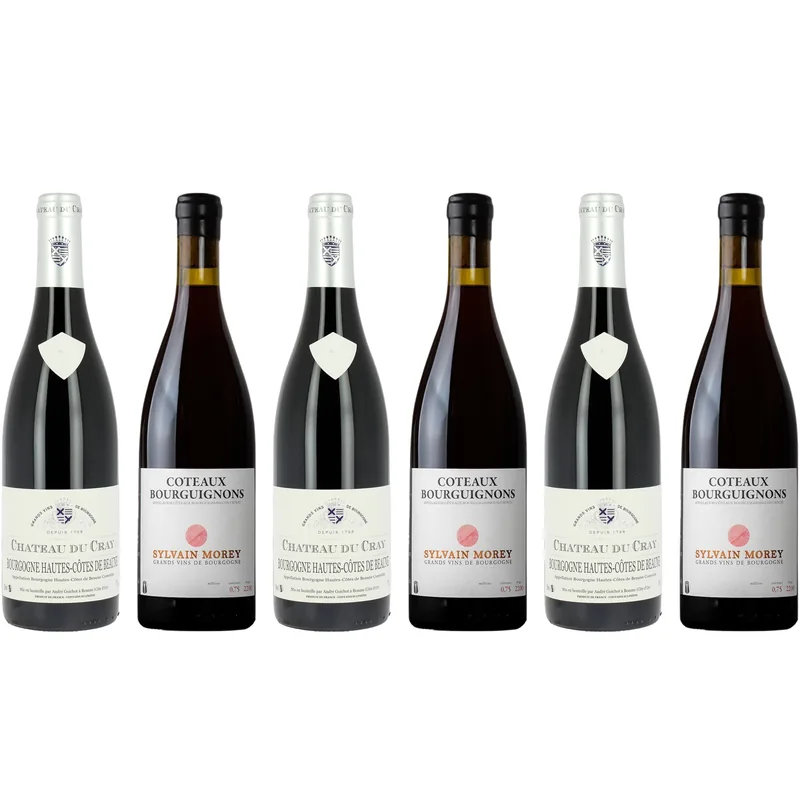 Bourgogne Pinot Noir  3+3 flasker med elegance & dybde