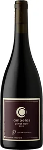 Pinot Noir Rho MG