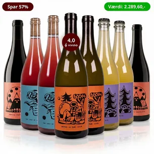 Hazy Naturvin Smagskasse - 8 kundefavoritter fra Gut von Beiden, Pfalz
