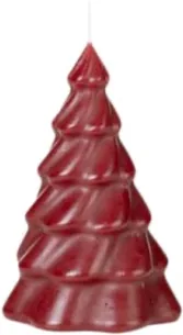 Pinus