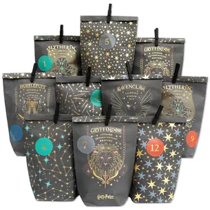 Gør-det-selv adventskalender  Harry Potter  24 sorte trykte poser med træclips | Papierdrachen