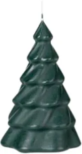 Pinus