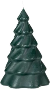 Pinus