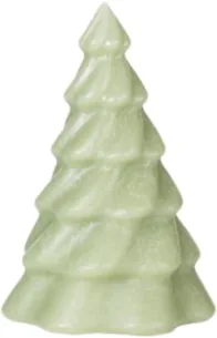 Pinus