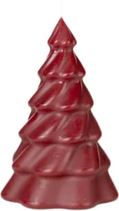 Pinus
