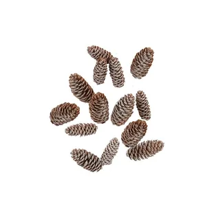 Kogler m/ sne, kunstig - Speedtsberg L: 6,5-8 cm - Ps. m/ 8 stk.
