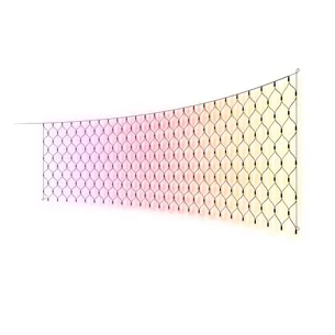 Hue Festavia net 250LED EU