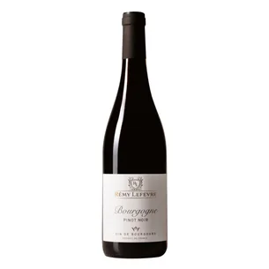 Rødvin | Rémy Lefevre | Bourgogne Pinot Noir (Frankrig)