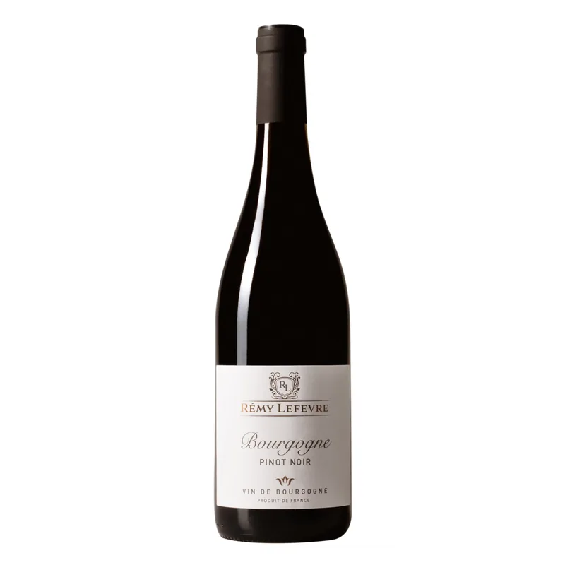 Rødvin | Rémy Lefevre | Bourgogne Pinot Noir (Frankrig)