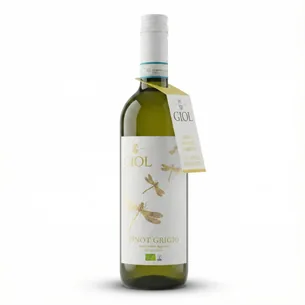 2025 Giol Pinot Grigio - Økologisk Hvidvin fra Veneto (Uden Tilsatte Sulfitter)