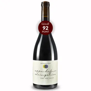 Gut von Beiden Pinot Noir Appenhofener Steingebiss 2020, Økologisk Rødvin, Pfalz Tyskland