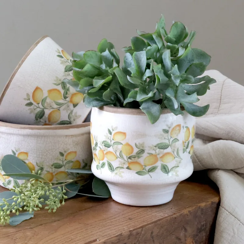 Håndmalet keramisk planteskjuler med citroner og blomster  Limone Blossom | Creme