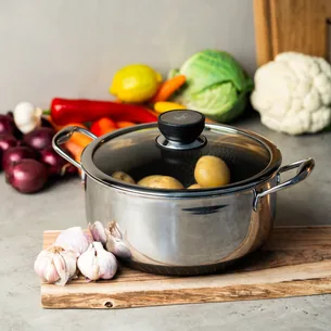 Non-stick Gryde 20 cm (2,8 Liter) med låg - Fusion