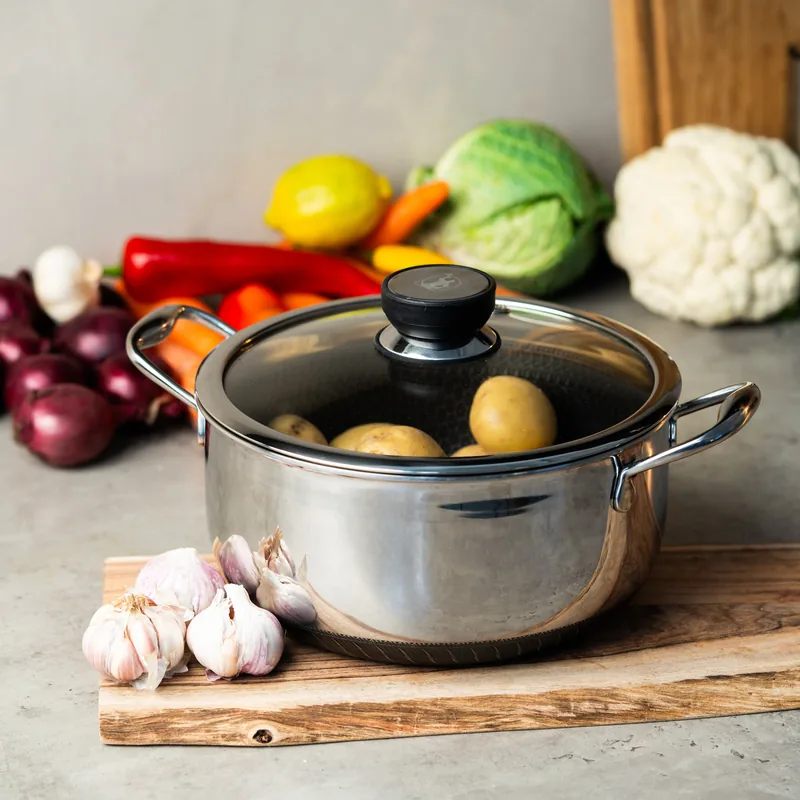 Non-stick Gryde 20 cm (2,8 Liter) med låg - Fusion