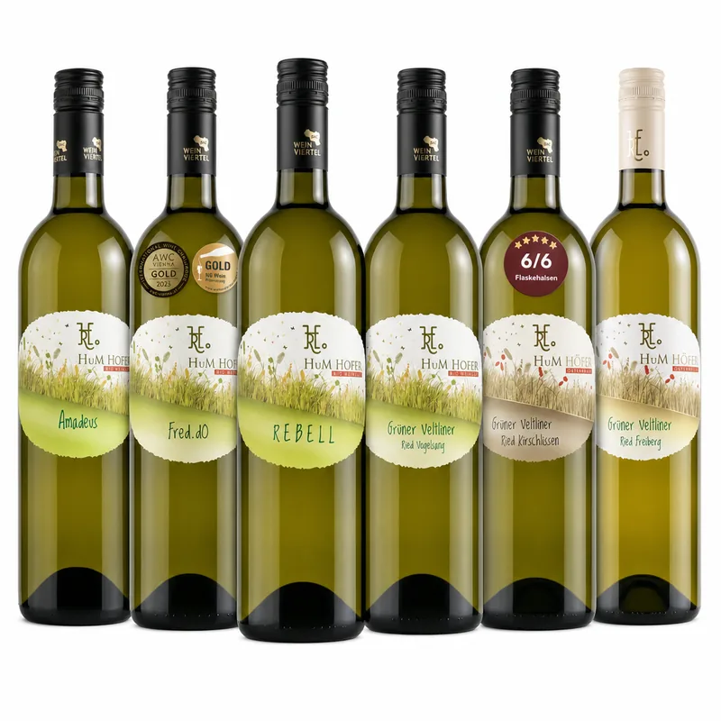 10-års Jubilæumssmagskasse - Grüner Veltlinere  Vinhuset HuM Hofer, biodynamiske vine, Auerstal Østrig