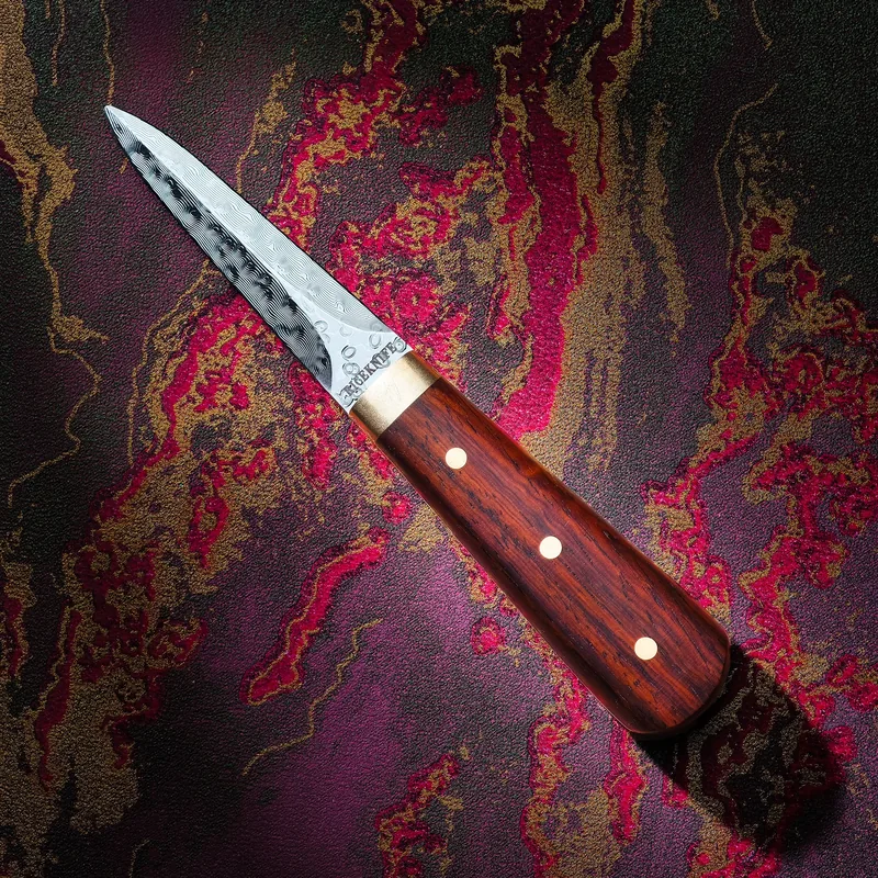Damaskus Østerskniv med Håndtag i Cocobolo