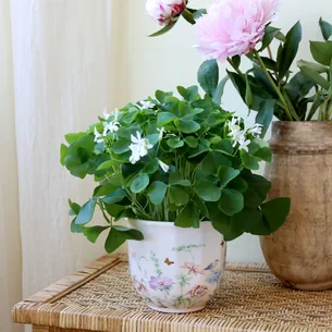 Håndlavet keramisk planteskjuler med blomster  Papillon | Creme