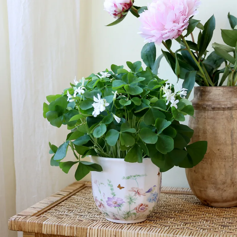 Håndlavet keramisk planteskjuler med blomster  Papillon | Creme