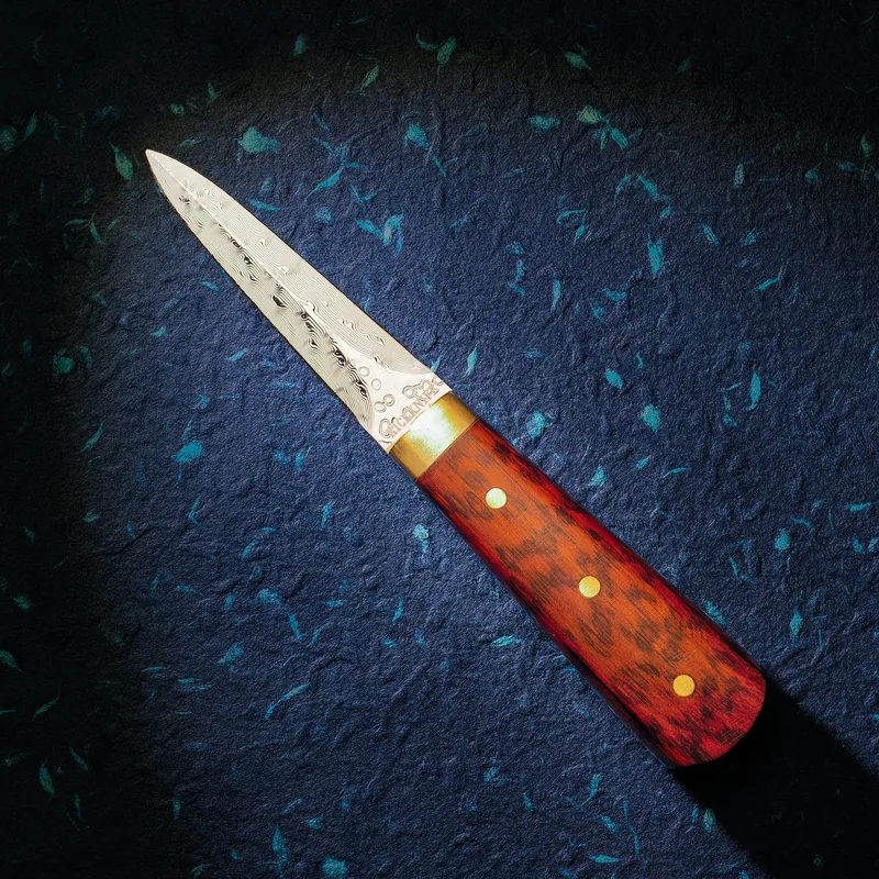 Østerskniv i damaskusstål med håndtag i snakewood