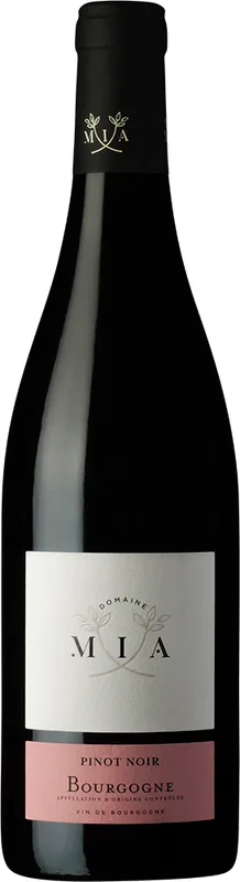 Bourgogne Pinot Noir