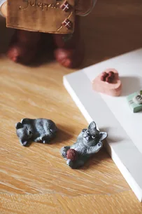 Kattekillinger Miv & Nulle